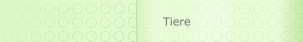 Tiere